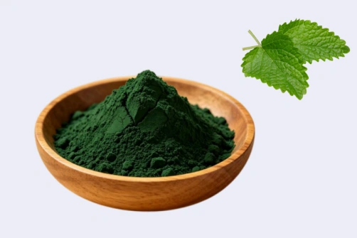 Consider When Sourcing Chlorophyll Powder for Daily Nutrition Products?
